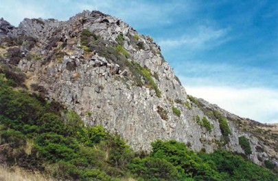 Outcrop on Mt Herbert, Banks Peninsula, Canterbury, with vegetation comprising stunted shrubs, grasses and herbs (Susan Wiser)