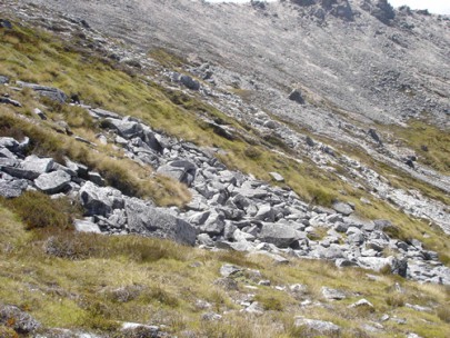 Granite boulderfield, Lookout Range, NW Nelson (Susan Wiser)