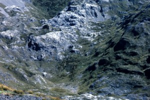 Foreground of tussockland bordering a bare calcareous boulderfield on Mt Arthur, western Nelson (Peter Williams)