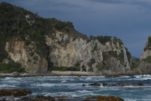 Coastal cliffs of acidic rock at Prices Harbour, near Big River in southern Fiordland (Rowan Buxton)