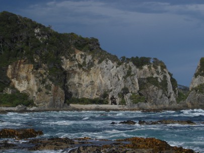 Coastal cliffs of acidic rock at Prices Harbour, near Big River in southern Fiordland (Rowan Buxton)