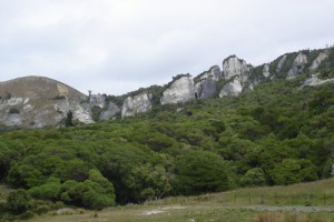 Coastal cliffs of calcareous rock at Napenape, North Canterbury (Rowan Buxton)