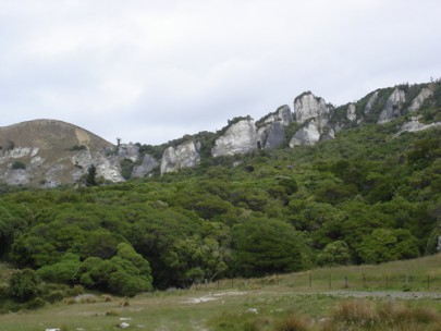 Coastal cliffs of calcareous rock at Napenape, North Canterbury (Rowan Buxton)