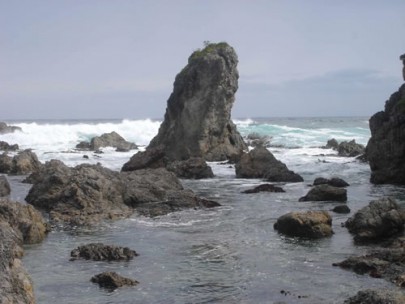 Coastal rock stack, western Southland (Susan Wiser)