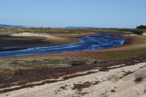 Awarua Estuary, Southland (Rowan Buxton)