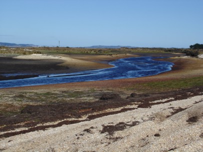 Awarua Estuary, Southland (Rowan Buxton) Awarua Estuary, Southland (Rowan Buxton)