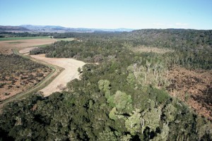 Frost hollows (right), Waiau Valley, Southland (Geoff Rogers)