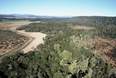 Frost hollows (right), Waiau Valley, Southland (Geoff Rogers) Frost hollows (right), Waiau Valley, Southland (Geoff Rogers)