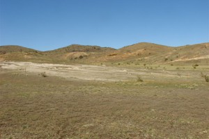 Inland saline ecosystem, Galloway, Alexandra Basin (Penny Smale)