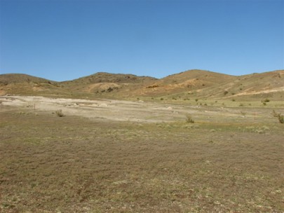 Inland saline ecosystem, Galloway, Alexandra Basin (Penny Smale)