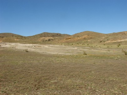 Inland saline ecosystem, Galloway, Alexandra Basin (Penny Smale) Inland saline ecosystem, Galloway, Alexandra Basin (Penny Smale)