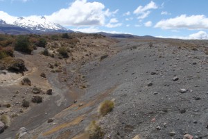 Lahar deposit on eastern Mt Ruapehu, central Volcanic Plateau (Rowan Buxton)