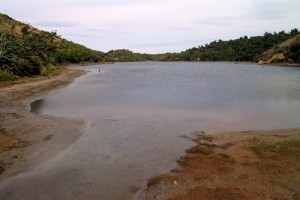 Lake margins at Kaihoka Lakes, Westland (Janet Wilmshurst)