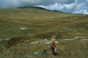 Erosion pavements scattered amongst grassland Matiri Range, western Nelson (Peter Williams)