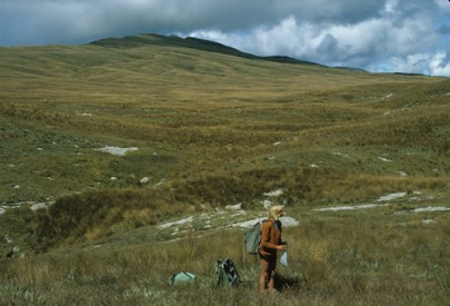 Erosion pavements scattered amongst grassland Matiri Range, western Nelson (Peter Williams) Erosion pavements scattered amongst grassland Matiri Range, western Nelson (Peter Williams)