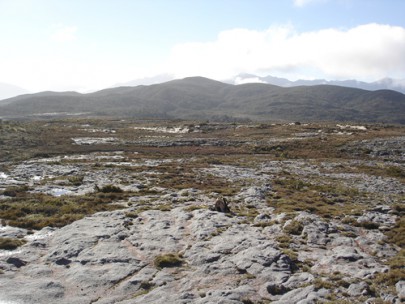 Sandstone erosion pavement on Stockton Plateau, Westland (R.P.Buxton)