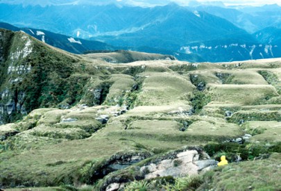 Sink holes (and cracks in karst), Garibaldi Ridge, NW Nelson (Peter Williams)