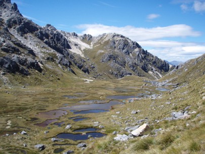 String mires, Mt. Titiroa, Fiordland (Peter Williams)