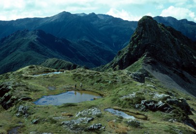 A tarn beneath Drunken Sailor, west Nelson (Peter Williams)