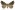 [Trigonistis anticlina] (female). Erebidae: Hypeninae Image