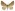 [Epicyme rubropunctaria] (male). Geometridae: Larentiinae Image