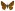 [Notoreas chrysopeda] (female). Geometridae: Larentiinae Image