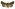 [Bityla sericea] (female). Noctuidae: Amphipyrinae Image