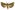[Feredayia graminosa] (male). Noctuidae: Noctuinae Image