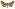 [Graphania brunneosa] (female). Noctuidae: Noctuinae Image