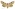 [Graphania plena] (female). Noctuidae: Noctuinae Image