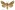 [Graphania plena] (male). Noctuidae: Noctuinae Image