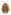[Dictyotus caenosus]. SIZE: 8-11 mm. COLOUR: Yellowish brown, rusty brown or pure brown, with alternate dark and pale markings on sides of abdomen. © MWLR | CC BY-NC 4.0 Image