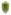 [Nezara viridula]. SIZE: 12-17 mm (average 15 mm). COLOUR: Mostly green, sometimes with yellow, orange or brownish hue. © MWLR | CC BY-NC 4.0 Image