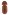 [Hypocryphalus] sp. (Curculionidae: Scolytinae). Endemic Image
