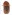 [Hypothenemus] sp. (Curculionidae: Scolytinae). Endemic Image