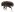 [Phloeosinus cupressi] (Curculionidae: Scolytinae). Adventive Image