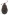 [Phronira simplex] (Curculionidae: Curculioninae). Endemic Image