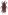 [Sphenophorus brunnipennis] (Curculionidae: Dryophthorinae). Adventive Image