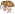 [Storeus albosignatus] (Curculionidae: Curculioninae). Adventive Image