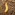 Click beetle larva. Image: Phil Bendle Collection, CitSciHub.nz Image