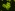 [Volvox], Auckland stormwater pond, X100. Photo: Manaaki Whenua Image