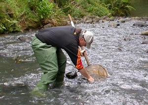 Sampling method for shallow stony streams 