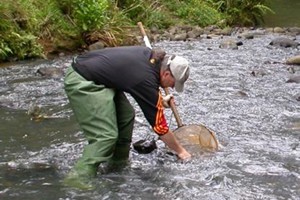 Sampling method for shallow stony streams 