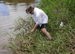 Sampling method for weedy and stagnant habitats