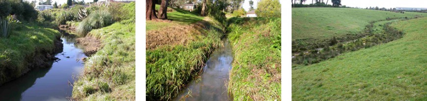 Streams with relatively poor quality invertebrate communities. Left - right: Avondale Stream, Olympic Park, Bishop Stream, Oruarangi mid reaches