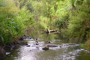 Opanuku at Border Rd