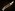 [Zelandoptila]. Image: Stephen Moore Image
