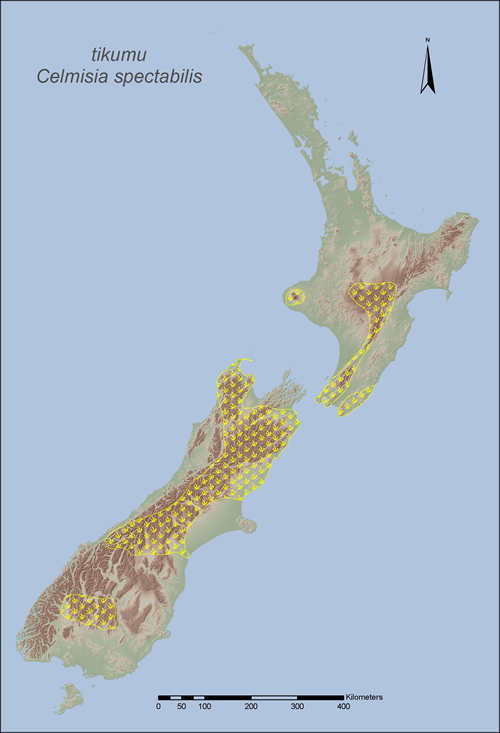 [Celmisia spectabilis] distribution map