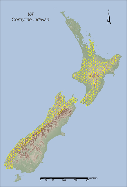 [Cordyline indivisa] distribution map.