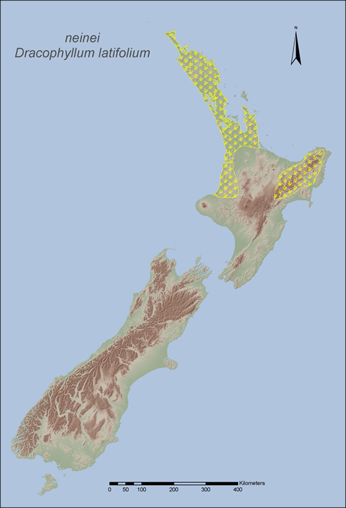 [Dracophyllum latifolium] distribution map